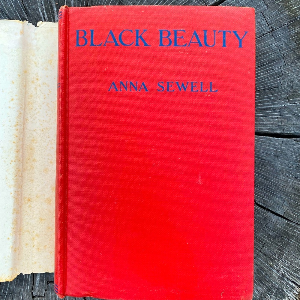 Old Black Beauty Book - Picture 3 of 5